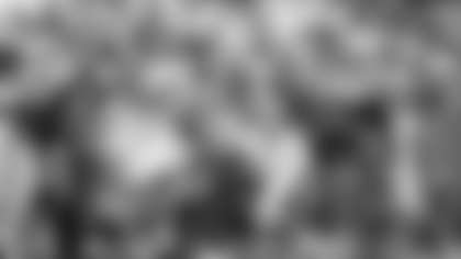 Carolina Panthers play against the Seattle Seahawks at Bank of America Stadium on Sunday, September 8, 2013.