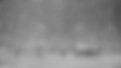 Panthers at Packers snow