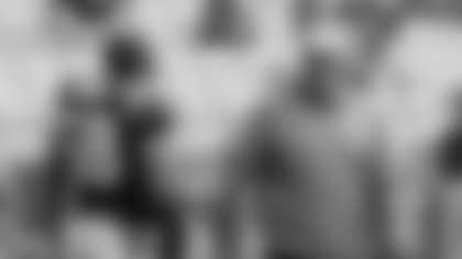 Carolina Panthers head coach Ron Rivera, right, greets Thomas Davis, left, before an NFL football game against the Atlanta Falcons in Charlotte, N.C., Sunday, Nov. 16, 2014. (AP Photo/Mike McCarn)