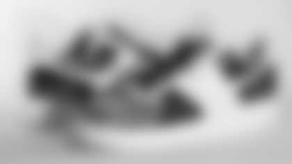 112025-MCMC_Ehle0205