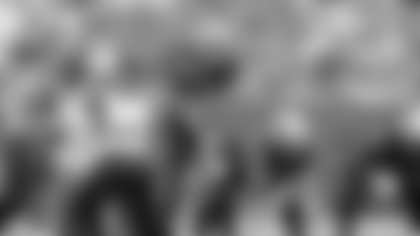 TBB-110925_Adler4140