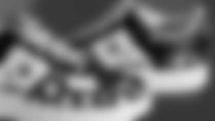 Brian Hoyer's sneakers supporting Pawtriots and the Patriots Charitable Foundation.