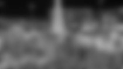 Enchant_Christmas_Lights (1)