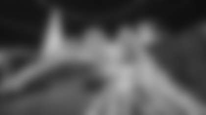 Enchant_holiday bird