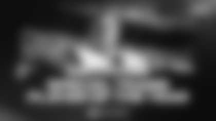 260219_HMevis_STPOYv2