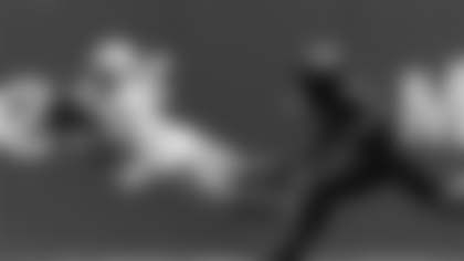 Ohio State wide receiver Carnell Tate State makes a diving touchdown reception as Northwestern defensive back Josh Fussell defends during the first half of an NCAA college football game at Wrigley Field, Saturday, Nov. 16, 2024, in Chicago. (AP Photo/Charles Rex Arbogast)