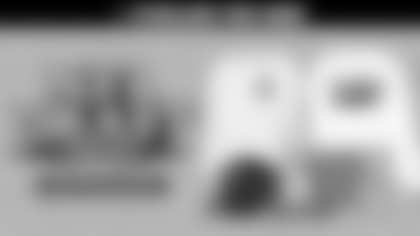 The Steelers Pro Shop