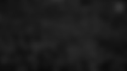 Terrible_Towel_50_2025_Parallax_Hero