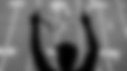 A January 13th, 2024 image from the Playoffs Wildcard game against the Cleveland Browns at NRG Stadium in Houston, TX.