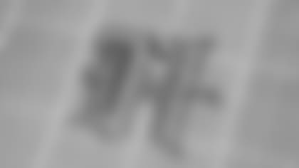 An image from the December 25th, 2024 Regular season week 17 home game against the Baltimore Ravens at NRG Stadium in Houston, TX. The Texans lost 2-31.