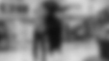 Riley Fields, Sir Purr