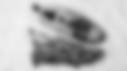 MCMC_TJHockenson-2560