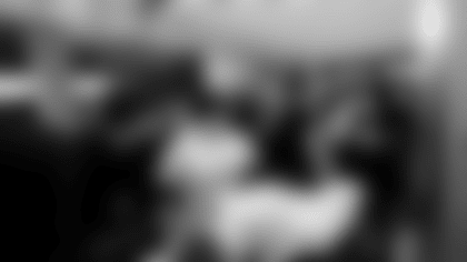 _TL11317