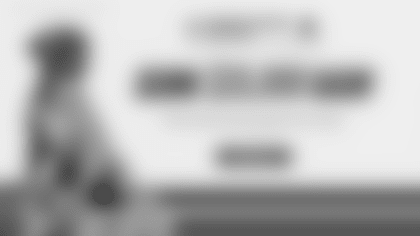 25C_86b3xvh6m_ClevelandBrowns_DedicatedDawgs_GrandPrize_V1R0_2560x1440