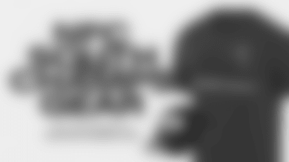 NFC SOUTH CHAMPS GEAR_Web Article_16x9