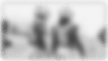 LBPreview 1