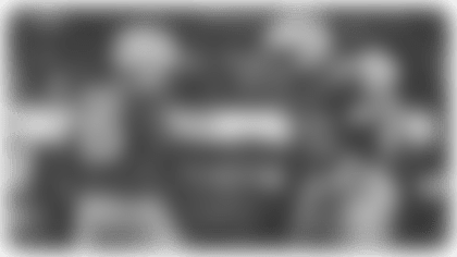 TuliTuipulotuFeature4