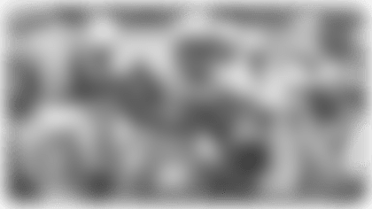 RBPreview 1