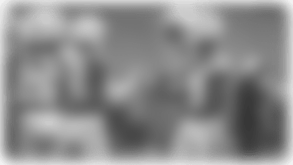 DBPreview 2