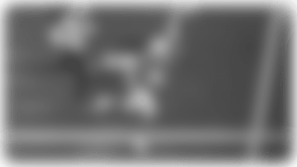 Ladd2