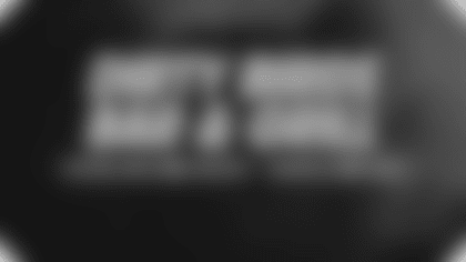 Dirty Birds - Regular