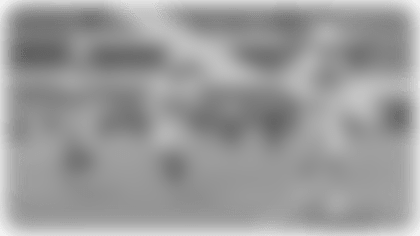 TEPreview