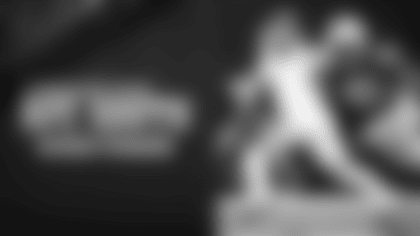 Week 17 Division Standings