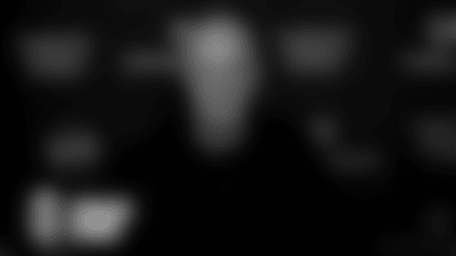 OPTION 1 - LOGO ONLY