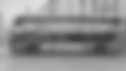 Miami Dolphins Bus Tour