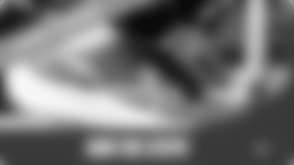 Eagles Run The Steps