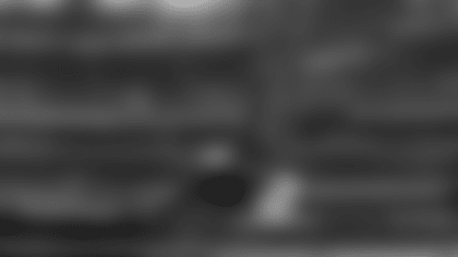 Lincoln the bald eagle