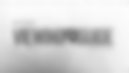 BYE WEEK VIEWING GUIDE