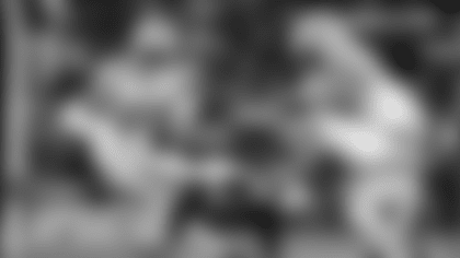 2025-RapidReaction-2560