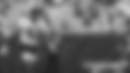 7-29-2Observations_TM_Thumbnail