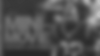 Wk16_vsTB_MiniMovie_16x9