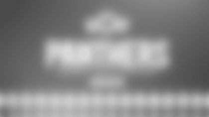 Panthers in Germany Trivia Challenge