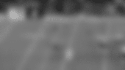 vlcsnap-2026-01-21-15h31m03s940