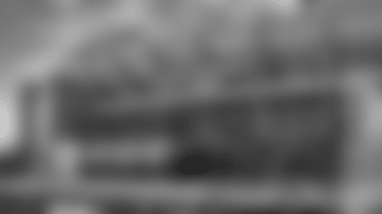 Miller Lite Gatehouse & Roof Deck