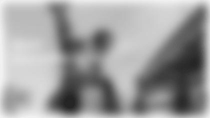 Go backstage with the Seahawks Dancers at the Seahawks' Week 10 matchup vs. the Arizona Cardinals on Sunday, November 9th at Lumen Field. Presented by Chromatique.