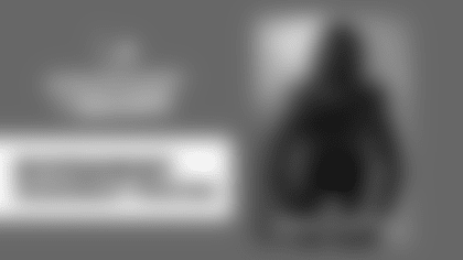 A Pair Of Seahawks Earmuffs