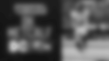 Metcalf_Best_Plays_HL