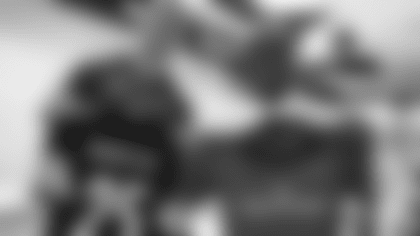 TVStory_Terrible_Towel_Tour_Munster_Rugby_05