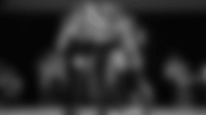 Linebackers Recap 2025