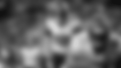 will reichard action lions