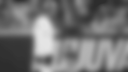 Ryan Nielsen — Defensive Running Game Coordinator