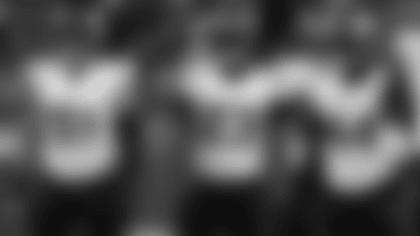 cashman metellus moreau lions