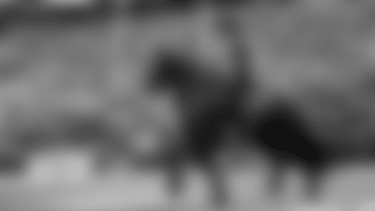 2022_1030_Vikings_Cardinals_REG08_0198