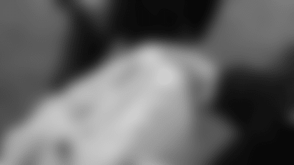 TAPS Troy Linden Shirt