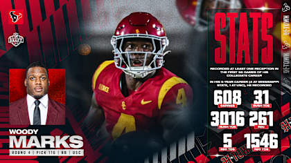 Woody Marks Sets New Guinness World Record for Longest Treehouse