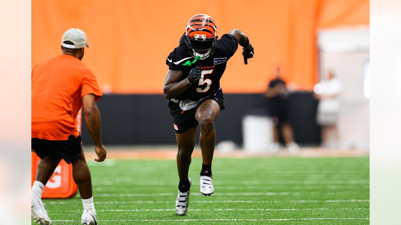 Bengals Practice Photos September 19